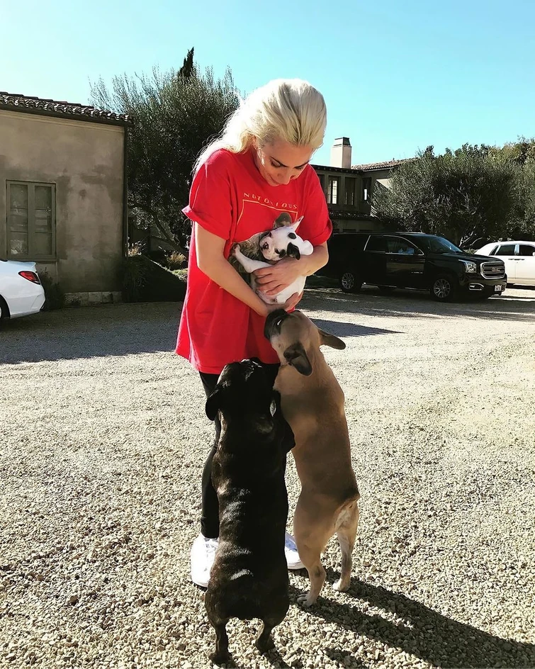 Perché chi ha un cane vive più a lungo La storia dolorosa del piccolo compagno di Audrey Hepburn