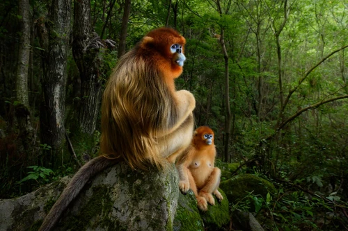 Travel Photographer of the Year lincanto del mondo in un click