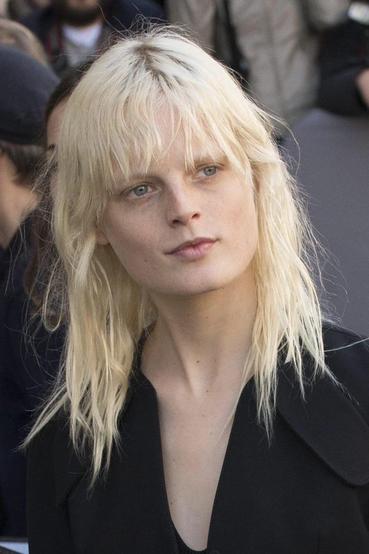 Hanne Gaby Odiele