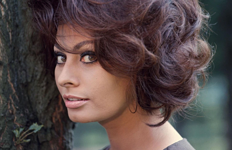 Sophia Loren 