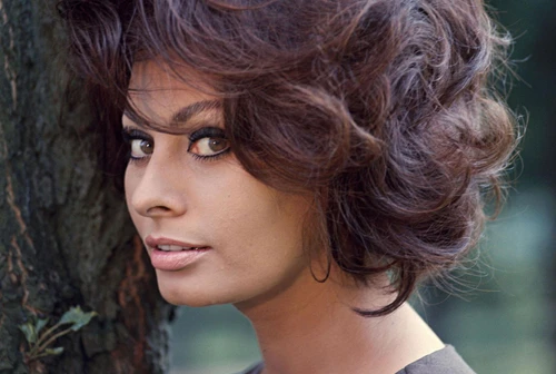 Sophia Loren fa 90 la scena a seno nudo di cui ancora si vergogna ecco perché è stata lantesignana del body positivity