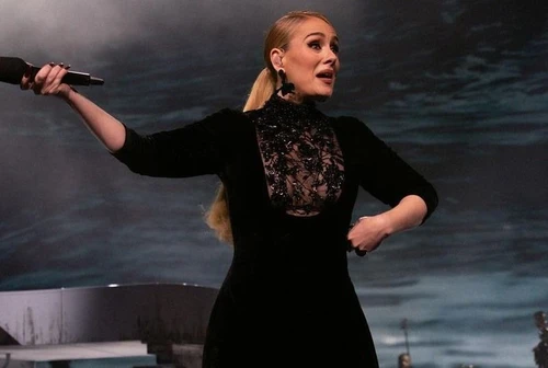 Adele furiosa con uno spettatore di un suo concerto Sei stupido Non essere ridicolo Ecco cosè successo