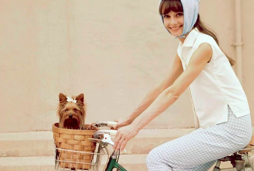 Perché chi ha un cane vive più a lungo La storia dolorosa del piccolo compagno di Audrey Hepburn