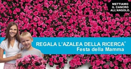 Festa della mamma unazalea per la ricerca Airc che da 50 anni salva le donne dai tumori