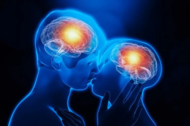 Alla ricerca dell’amore: ecco quali zone del cervello si illuminano quando si ama un partener, un figlio o un animale