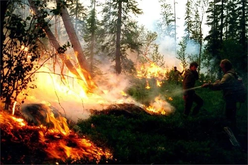 Siberia tre milioni di ettari distrutti dalle fiamme Trump chiama Putin e offre aiuto