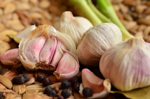 Aglio bulbo dallodore pungente tra salute orto e cucina