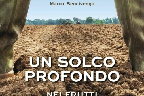 Libri Un solco profondo Marco Bencivenga racconta famiglia Bettoni