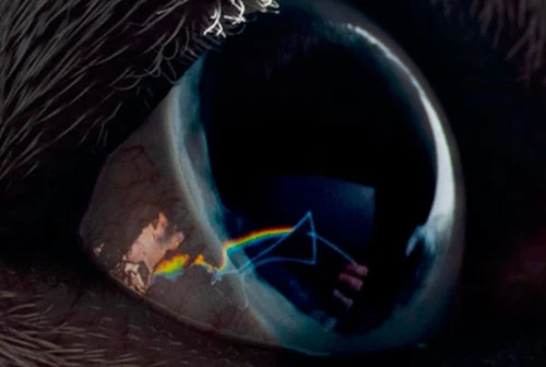 Roger Waters pubblica The Dark Side of the Moon Redux