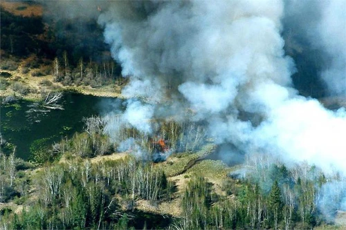 Siberia tre milioni di ettari distrutti dalle fiamme Trump chiama Putin e offre aiuto