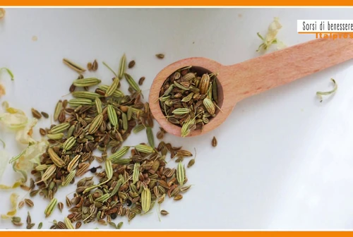 Sorsi di Benessere  Una tisana digestiva