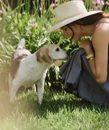 Meghan Markle in lutto per la morte del suo beagle Ecco cosa è successo alla villa a Montecito 